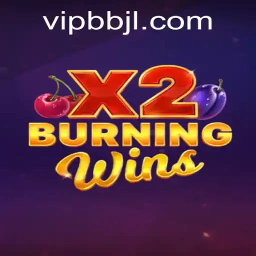 Exploring the Mechanics and Thrills of BurningWinsX2